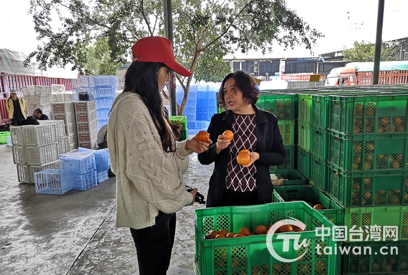 台灣自媒體達人關注大陸脫貧攻堅和鄉村振興發展情況