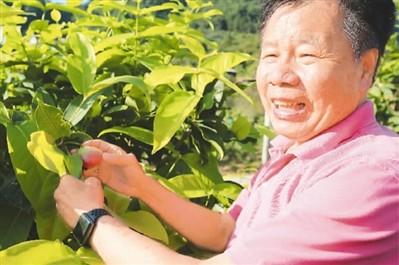 台灣“葡萄大王”做起福清新農民