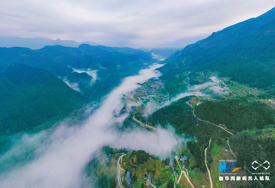 無人機航拍：茶山村的春天