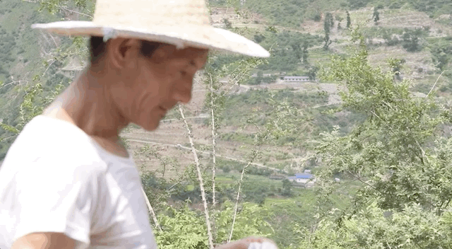 紀錄片《走近大涼山》：竹內亮的十年之約