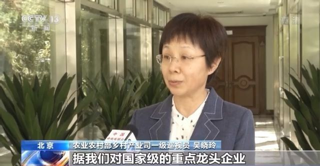 鄉村振興開新局 産業發展成績亮眼！