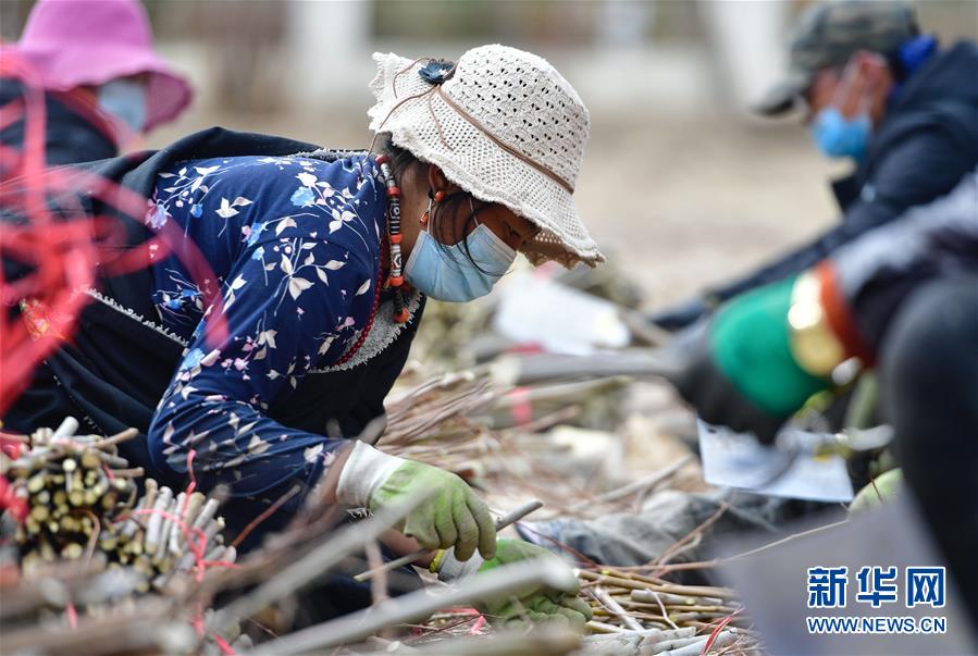 三江之源見證中國奇跡——寫在玉樹地震10週年之際