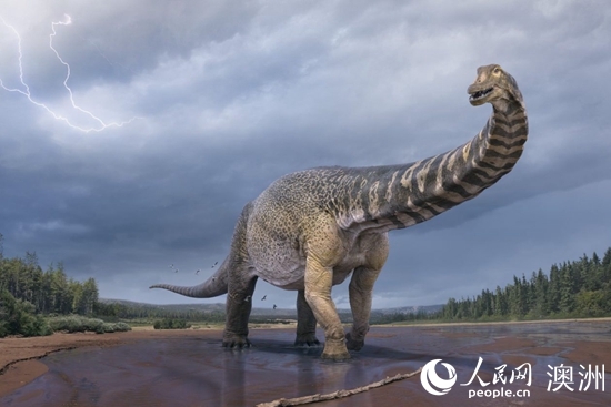 確認14年前發現的恐龍化石為新物種及澳大利亞最大恐龍