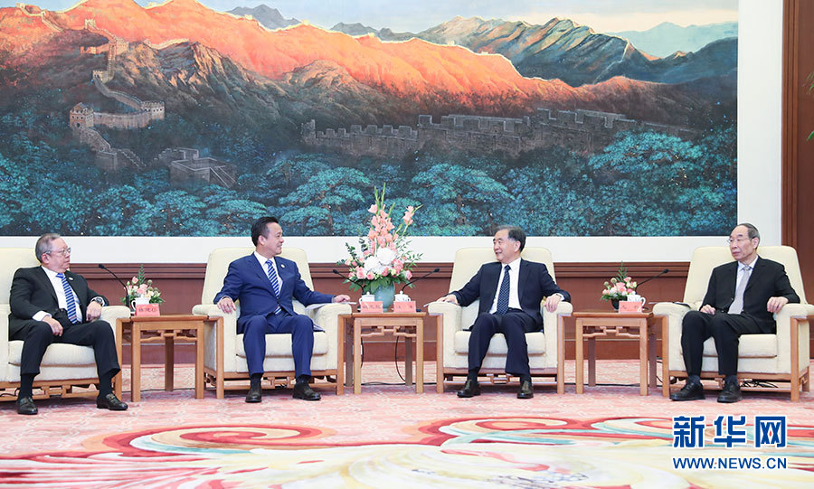 汪洋會見中國和平統一促進會香港總會參訪團