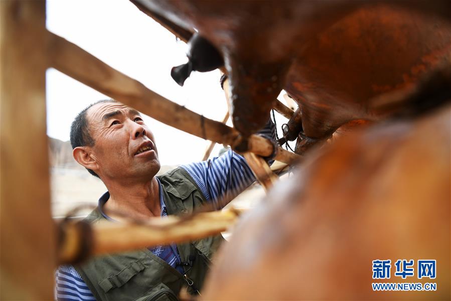 黃河上的“擺渡人”