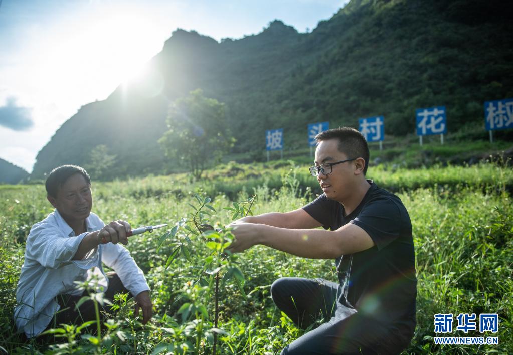 砥柱人間是此峰——以習近平同志為核心的黨中央引領億萬人民走向民族復興紀實