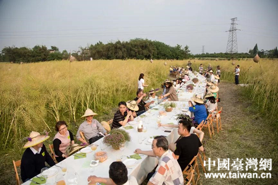 台灣姑娘在四川做農場主 與兩岸青年一起種“田園夢”