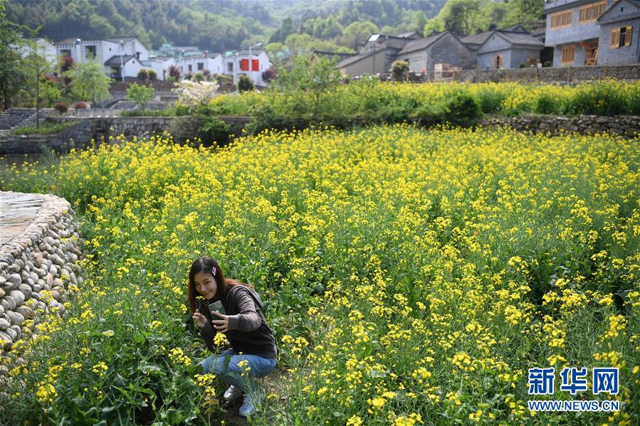 紅土地上的“綠色減貧”決戰——大別山“將軍縣”金寨脫貧紀實