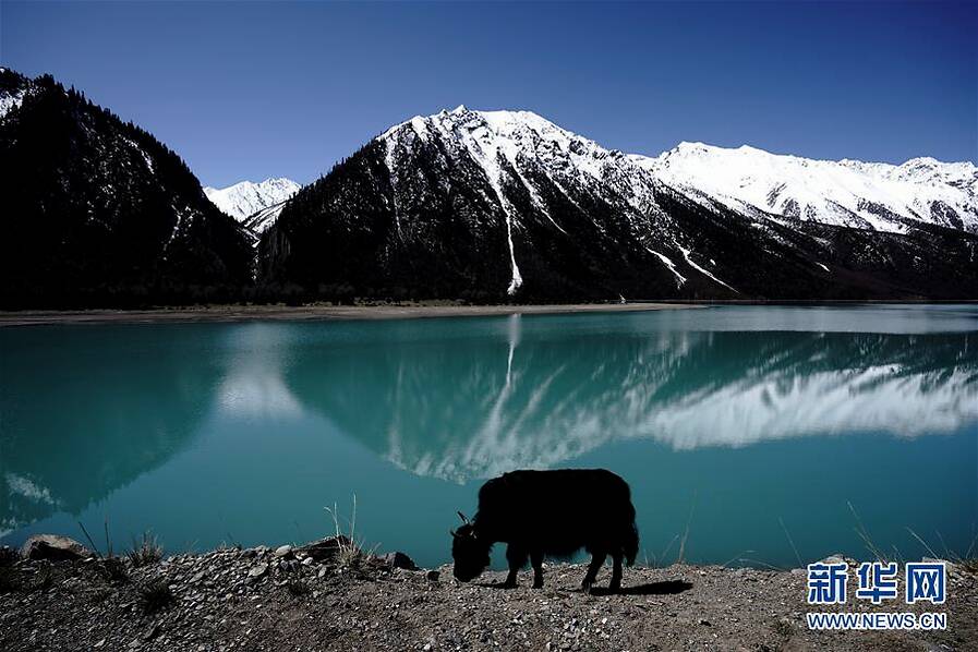 西藏美麗然烏湖