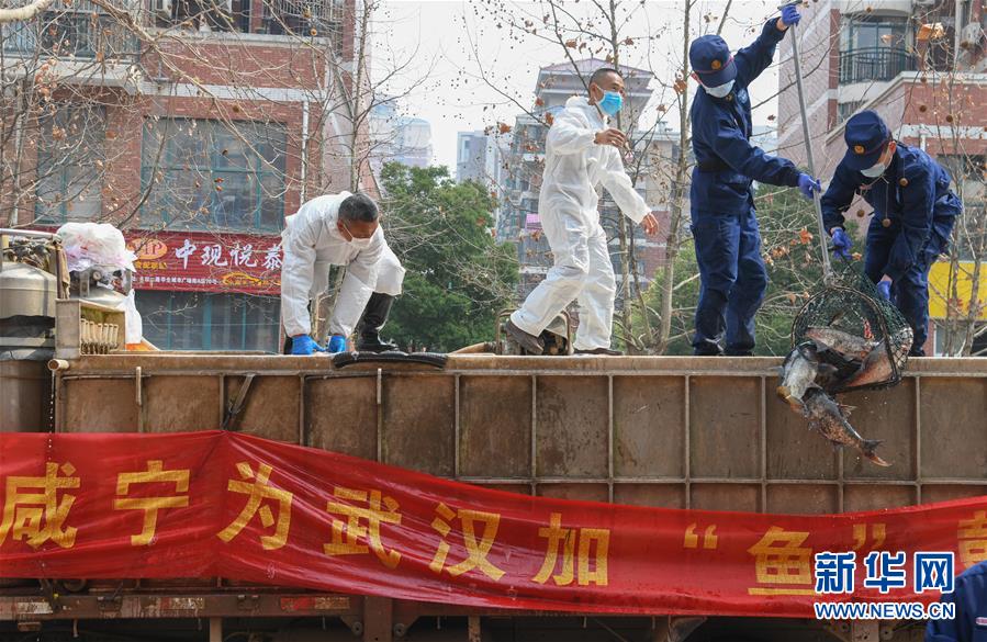 風雨無阻向前進——寫在全國疫情防控阻擊戰取得重大戰略成果之際