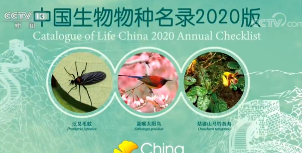 《中國生物物種名錄2020版》發佈