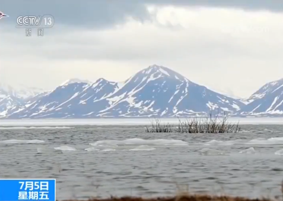 中國黃（渤）海候鳥棲息地（第一期）獲准列入世界遺産名錄