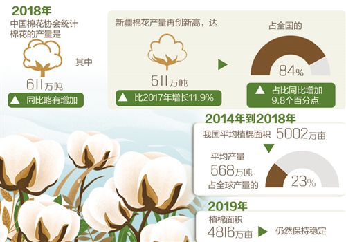 全球市場看好中國棉業