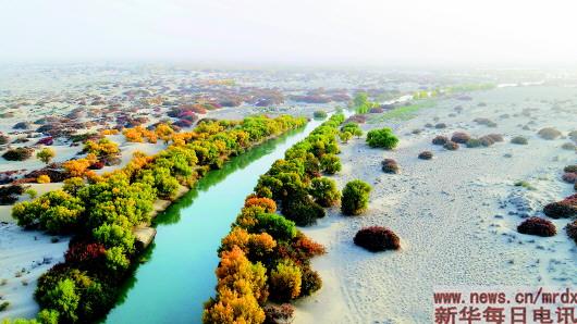 新疆：又聞大河來水聲 流域綜合治理“復活”塔裏木河
