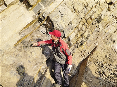 中科院南京地質古生物研究所取得新發現  史上首次生物大滅絕持續僅二十萬年