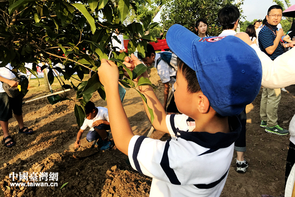 栽種共同的心願——蘇臺青少年共植同根樹