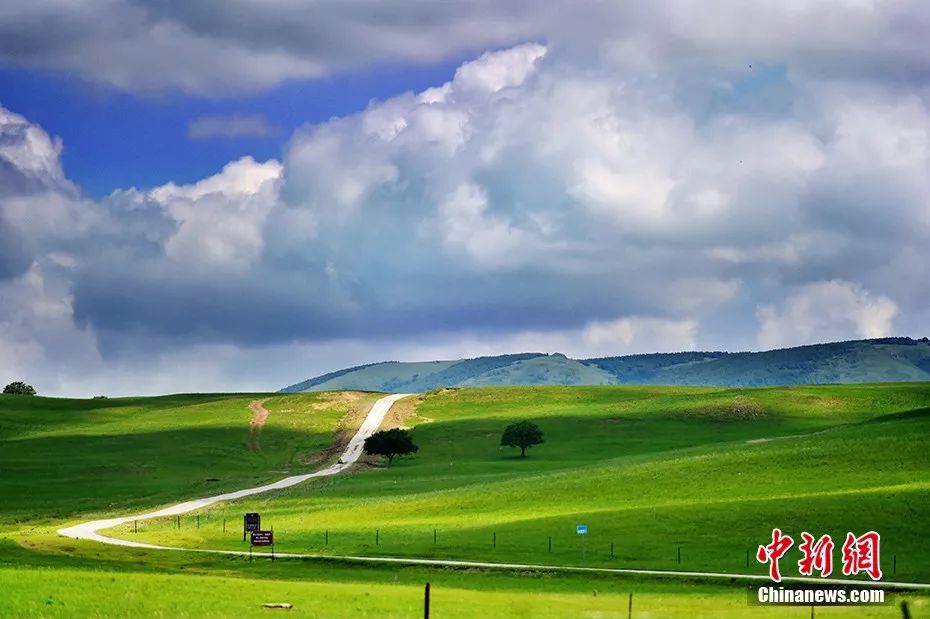 天蒼蒼野茫茫……盛夏 這裡有內蒙古大草原最美的樣子