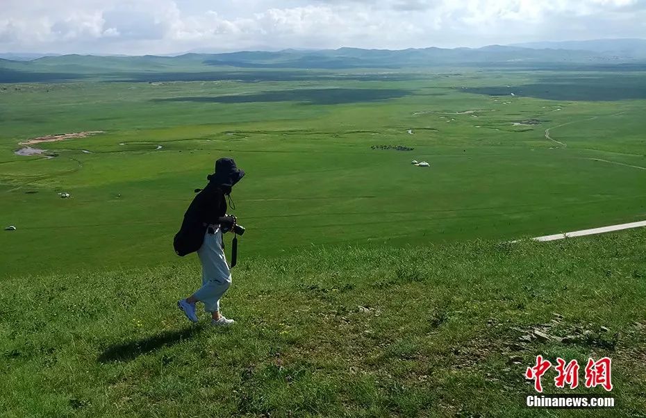 天蒼蒼野茫茫……盛夏 這裡有內蒙古大草原最美的樣子