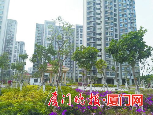 廈門第二批市級公租房開放申請 面向在廈台灣青年 10月15日前須報送材料