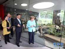 習近平同德國總理默克爾共同出席柏林動物園大熊貓館開館儀式
