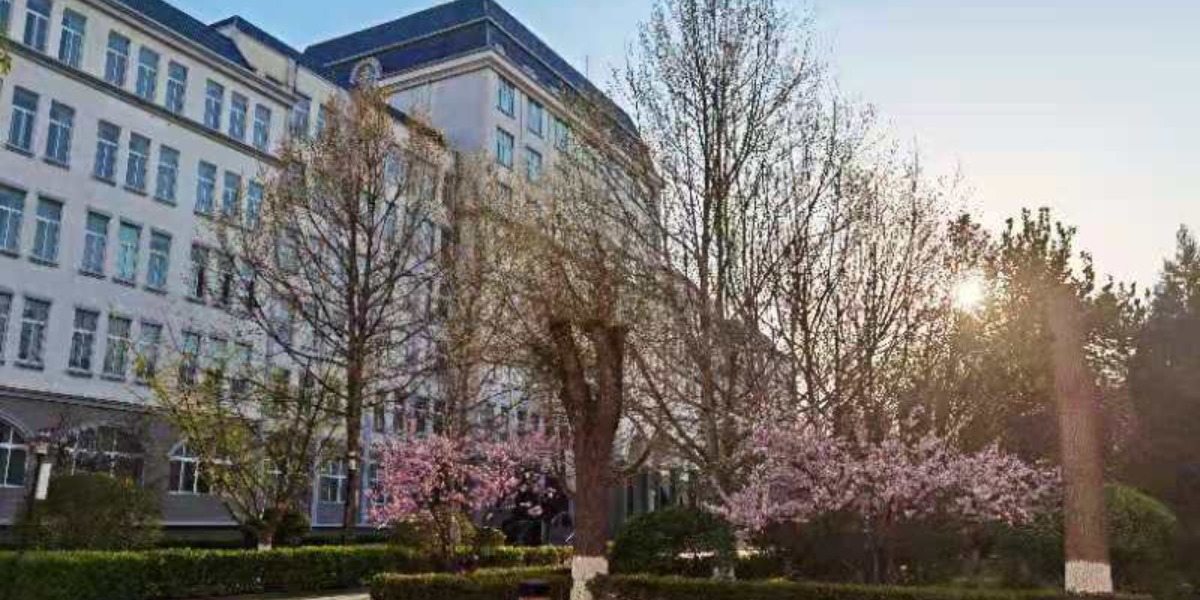 首都師範大學科德學院校園風光_fororder_(7)