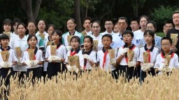 從小學到大學 思政教育這場“接力”怎麼跑