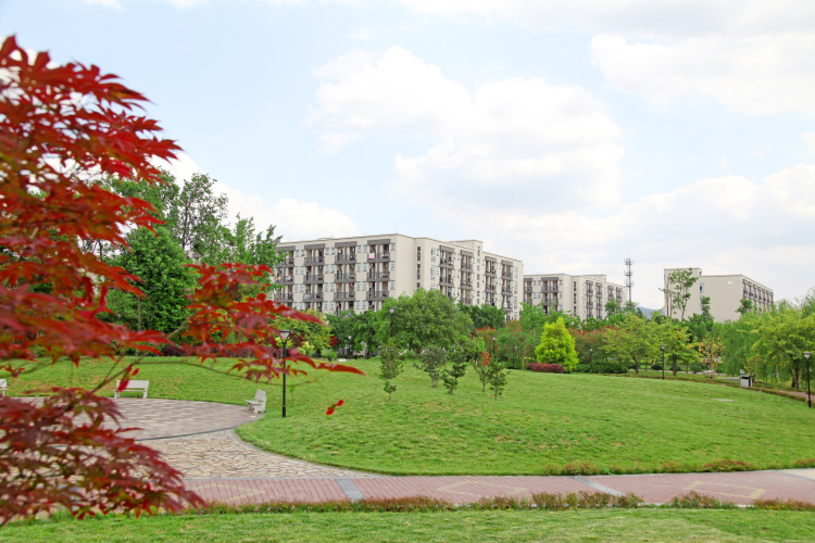 紮根天府沃土  深植教育情懷——成都文理學院努力培養高素質應用型人才