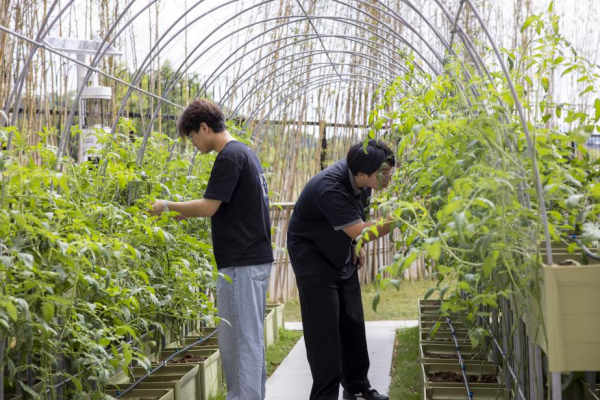 華南農大珠江學院:以“三融”為筆 寫好應用型人才培養文章 華南農大珠江學院:以“三融”為筆 寫好應用型人才培養文章