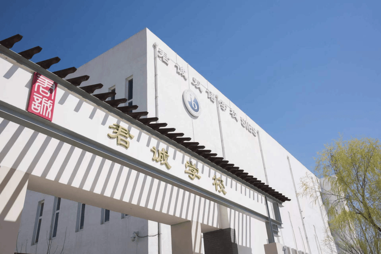 第十六屆國際名校來了擇校展丨君誠國際雙語學校受邀出席 招生官一對一現場指導