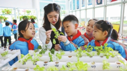 從“書包減重”到生態重塑