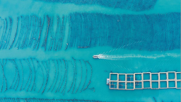 福州連江：推進深遠海養殖平臺升級改造及智慧化迭代