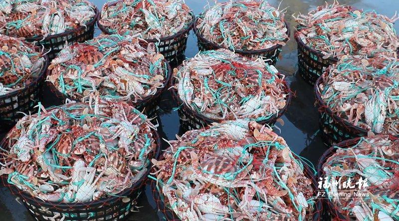 福州“開漁第一網”海鮮上岸了