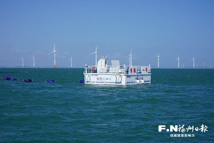 “福州造”海水直接制氫裝備兩年實現三大突破