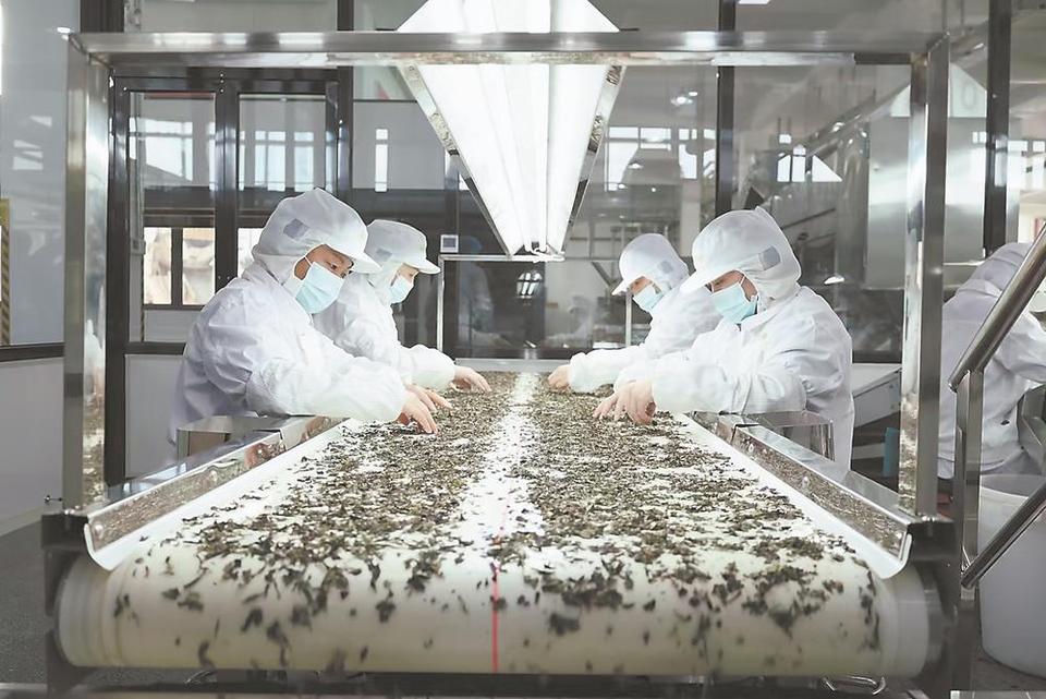 寧德圍繞特色産業 開展産業鏈供應鏈品質賦能工作