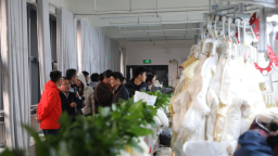 【高品質發展看九江】在“羽翼”與“天空”間，一座青春之城的突圍