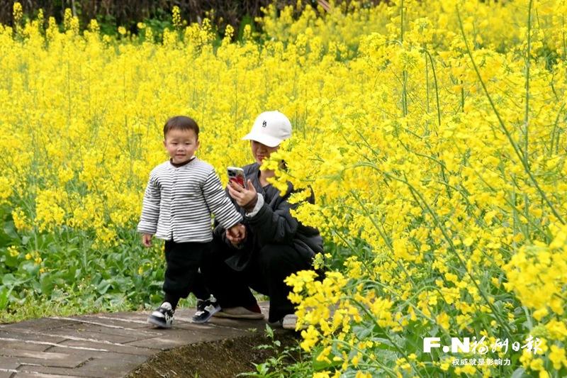 福州閩侯溪源村:古寨花香富農家