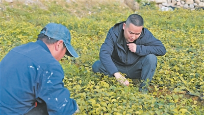 寧德福安:聚才賦能 興業惠民