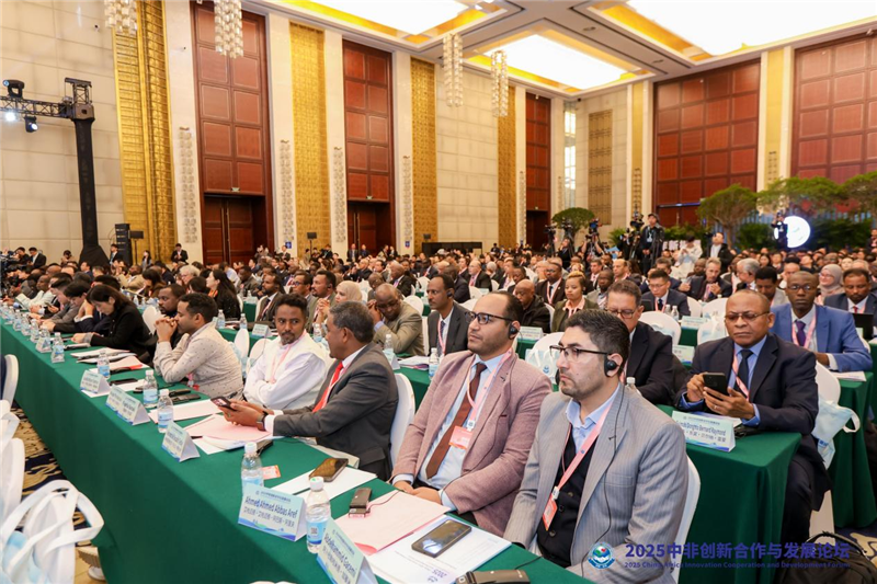 2025中非創新合作與發展論壇在武漢開幕