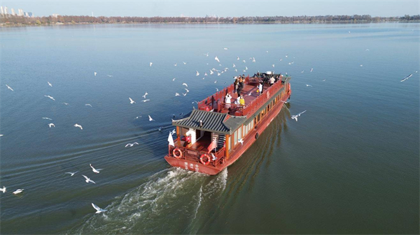 武漢東湖觀鷗熱度增長超100% 帶動冬季文旅消費