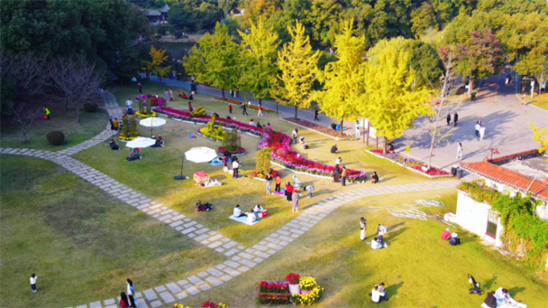 黃石秋韻:橙黃橘綠時 藏著城市的溫柔