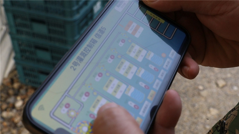 光伏板下巧種菇 荊門屈家嶺瑜靈寺村“一地兩用”照亮鄉村振興路