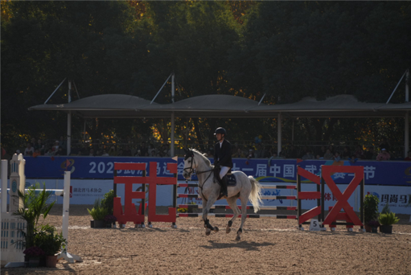 2025武漢馬運會全新啟幕