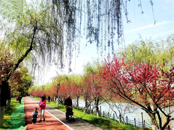 看湖北咸寧各大城市公園幸福“72變”