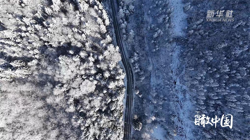 湖北咸豐:林海換銀裝