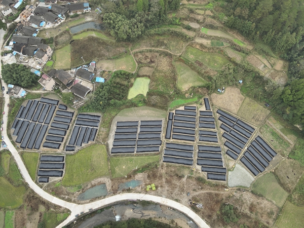 貴州施秉:秋冬種熱潮涌 冬閒田變身增收田 null