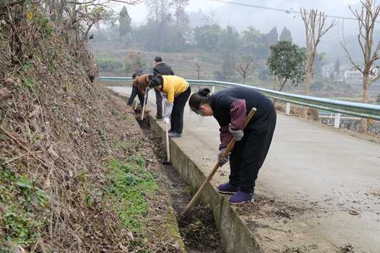 貴州綏陽:“四旁植樹”書寫鄉村綠色蛻變