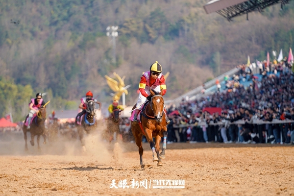 貴州:抓穩“比較優勢”推動産業躍升