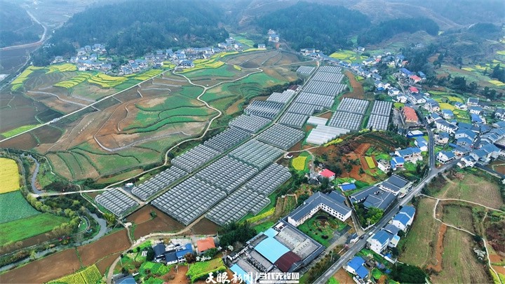 貴州:讓傳統文化煥發時代生機