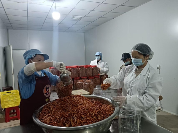 生産“火辣” 貴州獨山香酥辣産銷兩旺 null