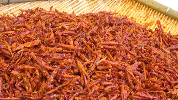 生産“火辣” 貴州獨山香酥辣産銷兩旺 null